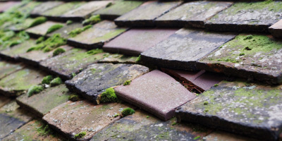 Trelleck roof repair costs